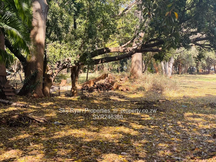 Hicc Cbd Commercial Land For Sale