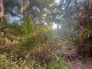 Commercial & Industrial Land