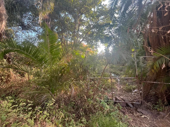 Commercial & Industrial Land