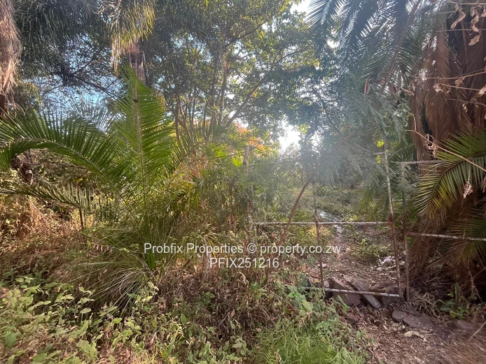 Prime Commercial Land For Sale In Avondale