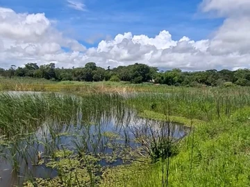 Farm & Agricultural Land