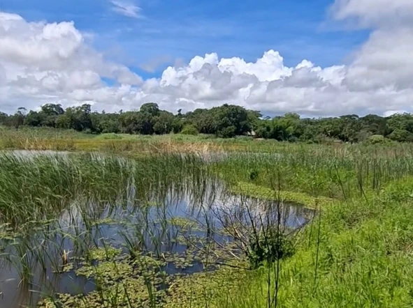 Farm & Agricultural Land