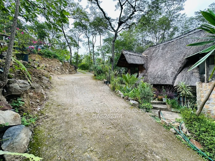 Prime 4,000m² Stand on Yellow Wood Lane, Kambanji  with Valley Views & Indigenous Trees (Sole Mandate)