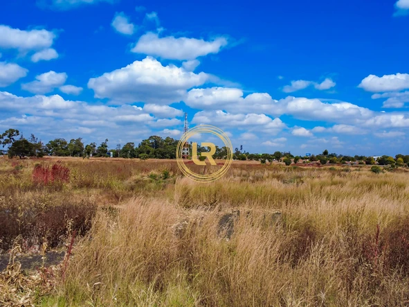 Commercial & Industrial Land