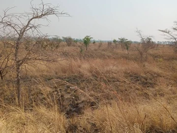 Farm & Agricultural Land