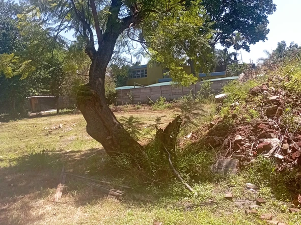 Commercial & Industrial Land