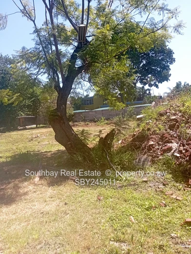 Avondale, Off Natal Road Commercial Stand, Close to ZB Bank