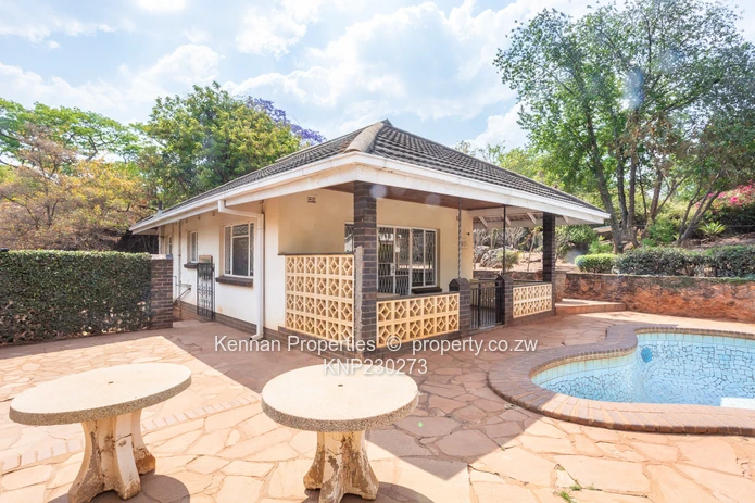 Potential On Arcturus Road - Nostro!