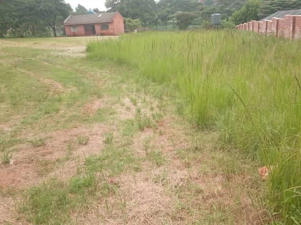 Stands & Residential Land