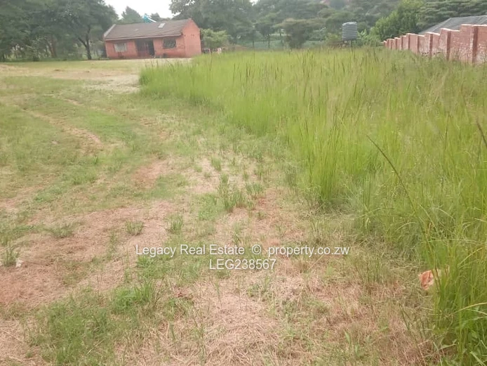 Development Opportunity: Large Stand with Guest House – Gletwin