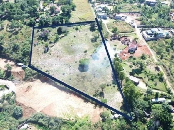 Stands & Residential Land