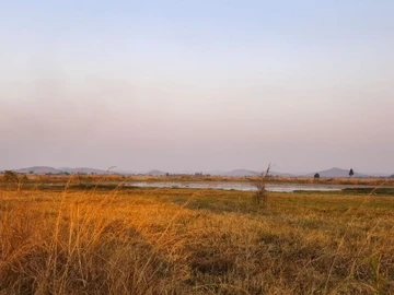 Land