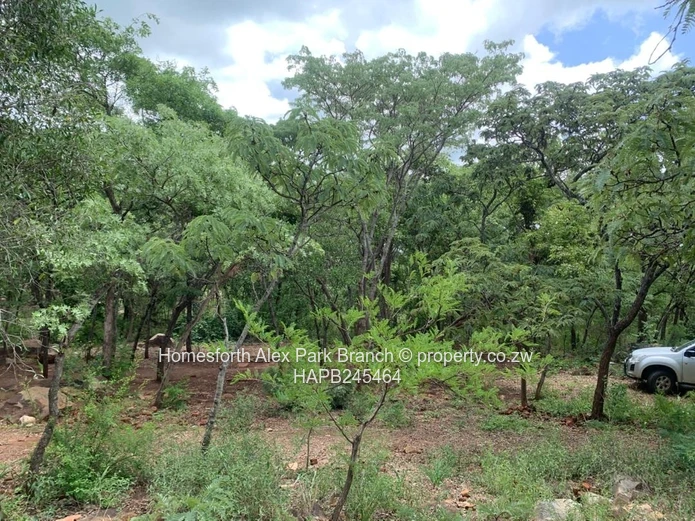 Darwendale Property On Sale