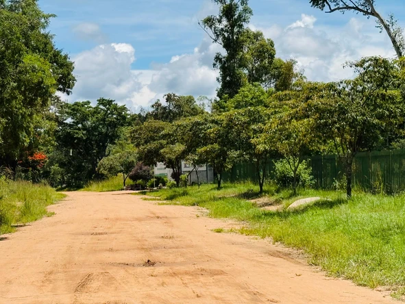 Farm & Agricultural Land