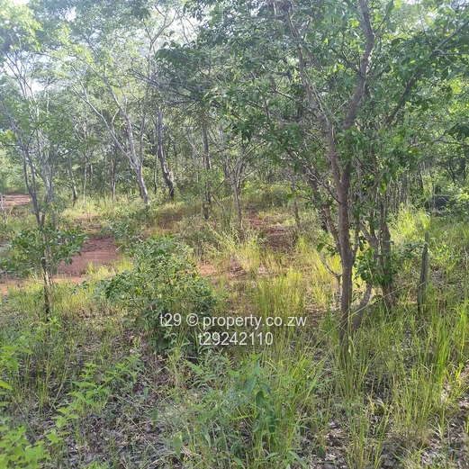 Norton chegutu selous plots for sale