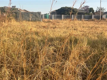 Stands & Residential Land