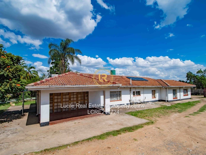 Msasa  - $450K