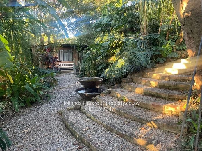 Incredible property in Glen Lorne