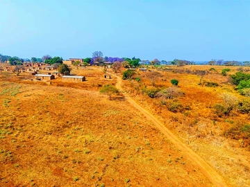 Farm & Agricultural Land