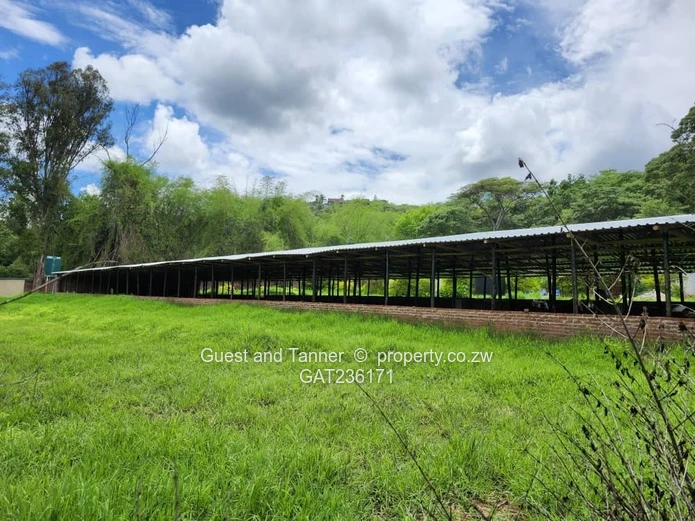 QUICK SALE! Umwinsdale Property for Sale – Prime Location, Exceptional Potential with Deeds