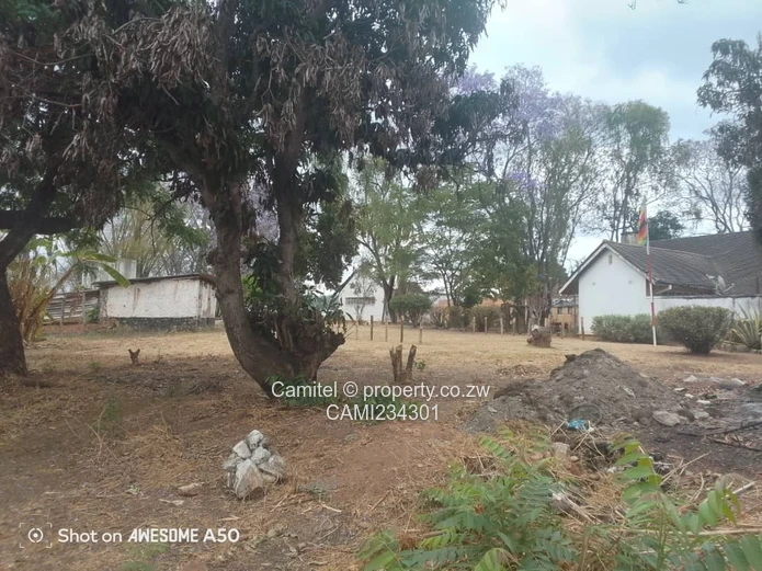 A good potential Investment