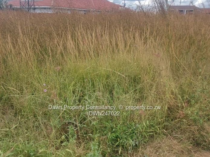 1250 m² Stand in Sandton Park — Main Road Frontage (Sole Mandate)