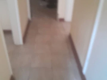 2 Bedroom Garden Flat