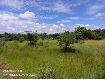 Farm & Agricultural Land