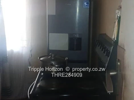 Bloomingdale house for sale