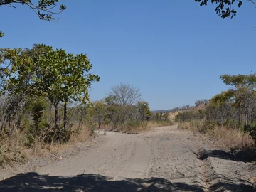 Farm & Agricultural Land
