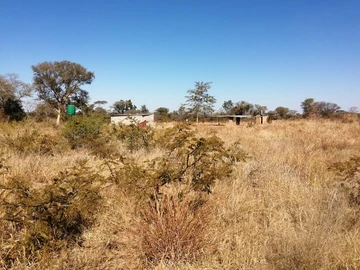 Farm & Agricultural Land