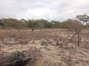 Farm & Agricultural Land