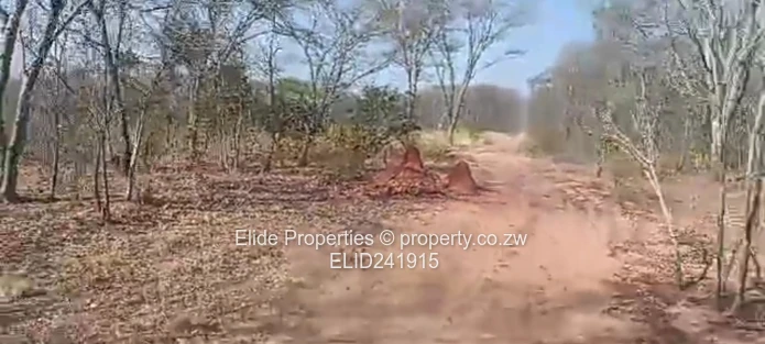 1,130ha Gokwe Farm — Gravel Roads, Grazing & Kraal (Sole Mandate)