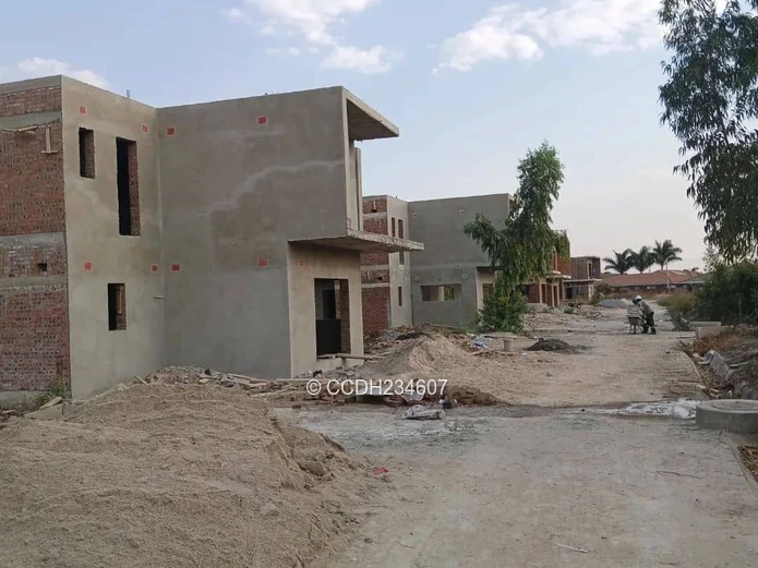 Tynwald Cluster Stand (Sole Mandate)