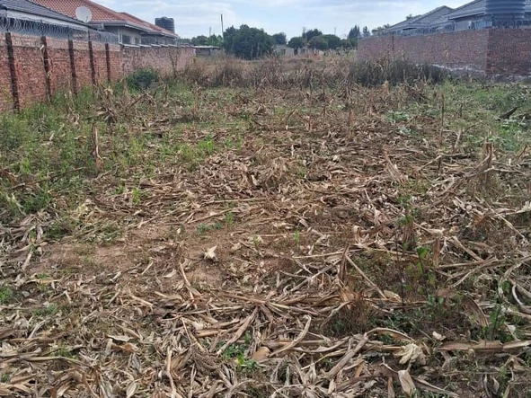 Stands & Residential Land