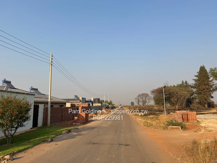 Arlington Low Density Stand For Sale