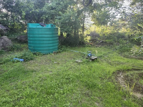 Farm & Agricultural Land