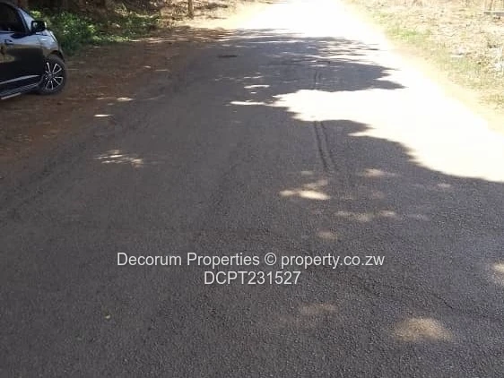 1000 m2 Marlborough Stands — Serviced.