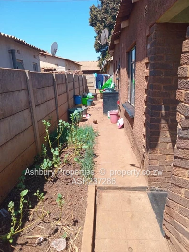 3-Bed Brick Home with Walled Yard — Dzivarasekwa