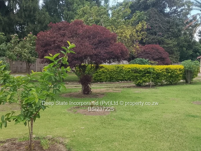 Marlborough house for sale 