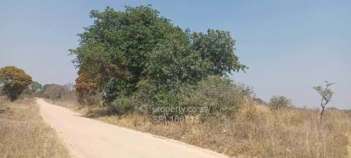 5.2 hectares Farmland. (Sole Mandate)