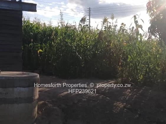 Investment Opportunity 