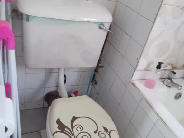2 Bedroom Flat & Apartment