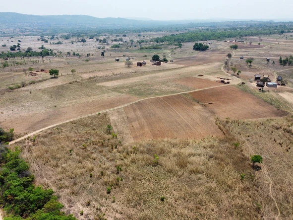 Farm & Agricultural Land