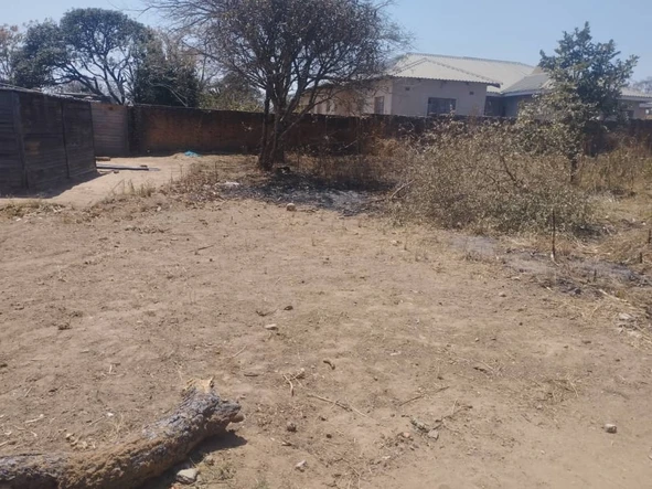 Stands & Residential Land