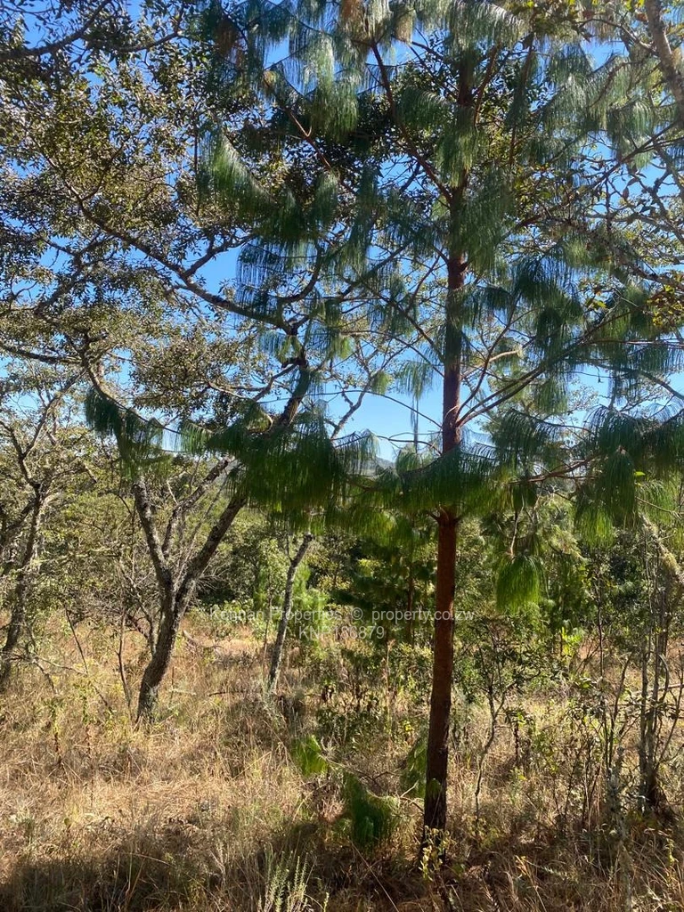 Farms & Agricultural Land for Sale in Juliasdale KNP186879