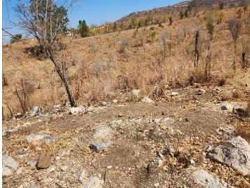 Commercial & Industrial Land