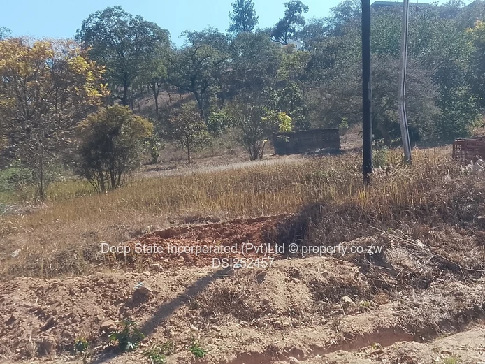 Borrowdale Carrich creagh stand for sale  (Sole Mandate)