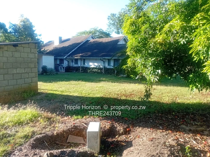 Excellent Location! Samy Levy Village!