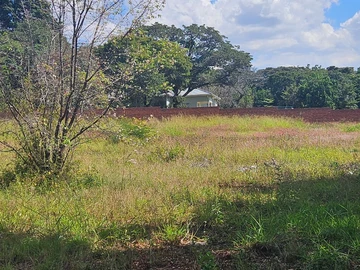 Land